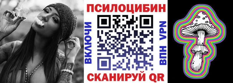 Купить закладки  Алатырь  Псилоцибиновые грибы Psilocybe 